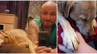 Povestea sfâșietoare a unui bărbat și a cățelușei sale, ambii diagnosticați cu cancer la rinichi