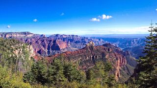 Bărbatul de 33 de ani se afla pe pasarela Skywalk de la Grand Canyon West și a căzut peste margine, plonj&acirc;nd &icirc;n canionul de dedesubt.