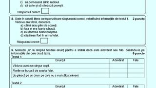 Subiecte Română Evaluare Națională 2023 - Baremul de corectare