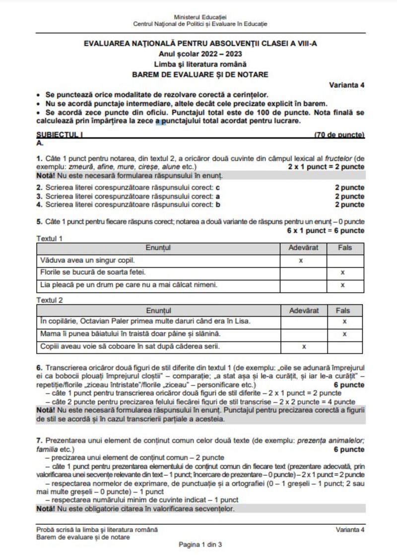 Barem Evaluare Națională 2023 Română. Cum se rezolvă corect subiectele?