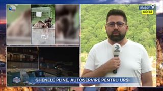Ghenele pline, autoservire pentru urși