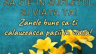 Felicitări de S&acirc;nziene 2023. Mesaje inedite pentru sărbătoriții zilei