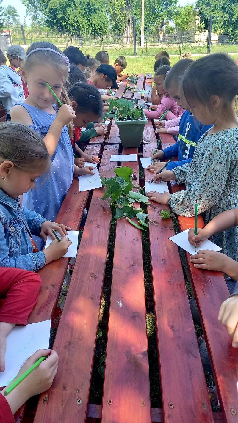 Copiii plantează pomi, plante și fac căsuțe pentru păsări.