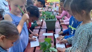 Copiii plantează pomi, plante și fac căsuțe pentru păsări.