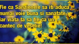 Mesaje de S&acirc;nziene 2023: Urări și felicitări pentru ziua de 24 iunie