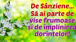 Mesaje de S&acirc;nziene 2023: Urări și felicitări pentru ziua de 24 iunie