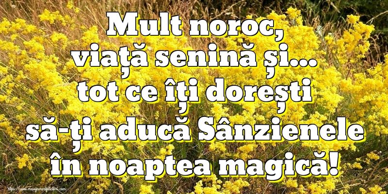 Mesaje de Sânziene 2023: Urări și felicitări pentru ziua de 24 iunie