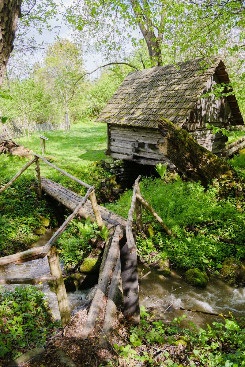 Sambata, la “ROventura”: Călătorie inedită în Geoparcul Dinozaurilor din Țara Hațegului