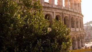 Limba rom&acirc;nă &icirc;l face pe bărbat să se simtă ca acasă.