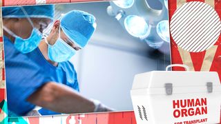 Organele fetiței din Vaslui, decedată după ce a fost lovită de o mașină când se plimba cu trotineta, au fost prelevate