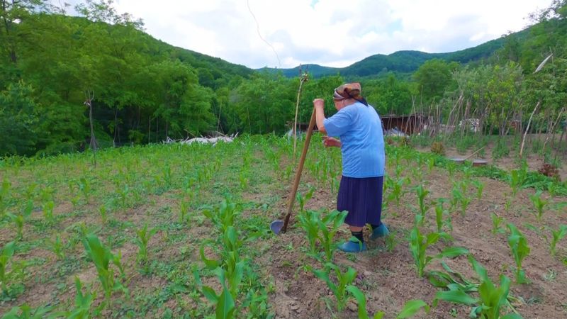 Duminică, la “Asta-i România!” - un vis îndepărtat pentru un cătun izolat din Romania