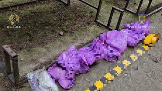 Polițiștii au descoperit 6 kilograme de cannabis ascunse într-un compresor de aer trimis prin colet din Spania în România