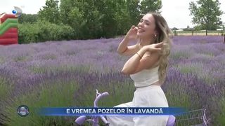 E vremea pozelor in lavanda