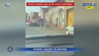 Paznic snopit &icirc;n bătaie