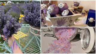 Turiștii pot găsi la Grădina de lavandă diferite produse din lavandă.