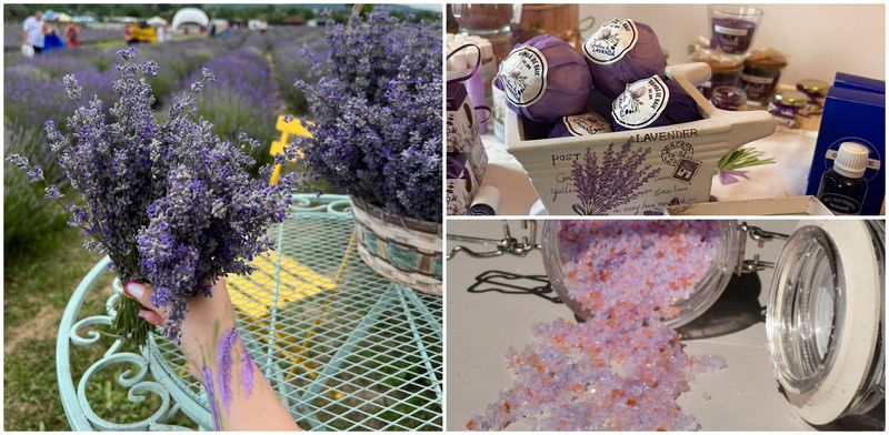 Turiștii pot găsi la Grădina de lavandă diferite produse din lavandă.