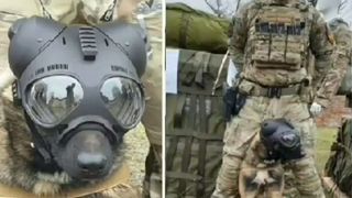 Cel mai nou parașutist al Forțelor pentru Operații Speciale Rom&acirc;ne