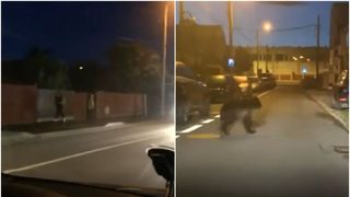 "Sperie-l, sperie-l! Claxonează, claxonează!" Se amuzau tinerii care &icirc;l filmau pe bietul animal care alerga speriat pe străzile cartierului Tractor.