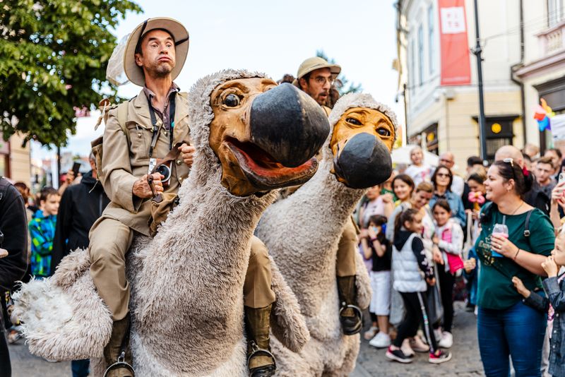 Publicul poate participa la diferite piese de teatru la Teatrul Gong sau la Sala Mare TNRS