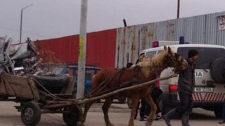 Doi prahoveni, de 71 și 83 de ani, prinși la furat de fier vechi