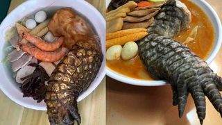 Noua delicatesă: supă cu picior de crocodil. Ce spun clienții restaurantului