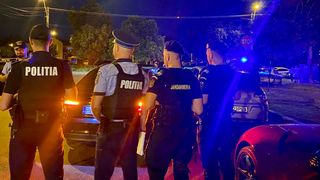 Metoda de acțiune aleasă este acțiunea &icirc;n sistem integrat (poliție &ndash; jandarmerie), c&acirc;t și acțiuni operative complexe.