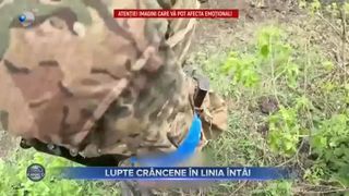 Lupte cr&acirc;ncene &icirc;n linia &icirc;nt&acirc;i