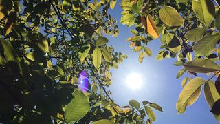 Tu știi să te protejezi de caniculă? Iată sfaturile specialiștilor pentru perioada următoare