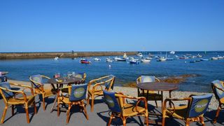 Nereguli uriașe la mai multe localuri de pe litoral