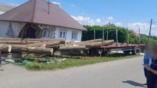 Încărcătura de lemn s-a rostogolit peste gardurile a două gospodării, distrugând colțul unei case.