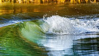 Cele mai interesante excursii în Delta Dunării din vara aceasta