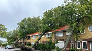 Furtuna Poly a provocat haos asupra traficului aerian și feroviar din Olanda