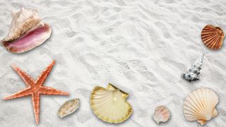 Un bărbat a murit în timp ce dansa la o nuntă