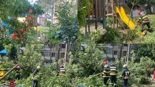 VIDEO | Un copil de 10 ani a fost rănit &icirc;ntr-un parc din Suceava. Un copac s-a prăbușit &icirc;n zona locului de joacă