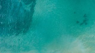 Șezlonguri la 100 de lei, dar fără condiții și dotări pe plajele din Mamaia