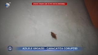 Azilele groazei- caracatița corupției