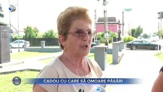 Cadou cu care să omoare păsări
