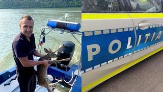 Un pui de căprioară a fost salvat de la înec de poliţiştii de frontieră