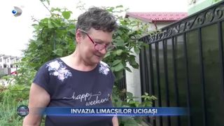 Invazia limacșilor ucigași