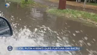 VIDEO - Furtună violentă în mai multe județe din țară! Cel puțin 4 persoane au fost rănite 