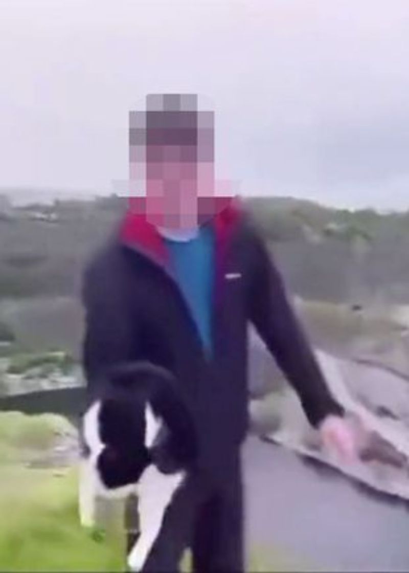 Un adolescent a aruncat fără milă o pisică într-o râpă plină cu apă. Scenele șocante au fost filmate: „Merită închisoare”