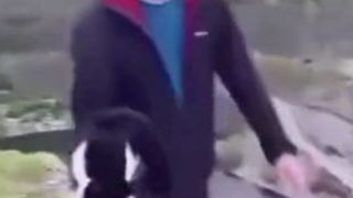 Un adolescent a aruncat fără milă o pisică &icirc;ntr-o r&acirc;pă plină cu apă. Scenele șocante au fost filmate: &bdquo;Merită &icirc;nchisoare&rdquo;