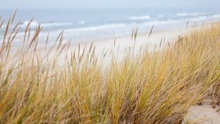 Curenții rip, primejdia de la Marea Neagră. 