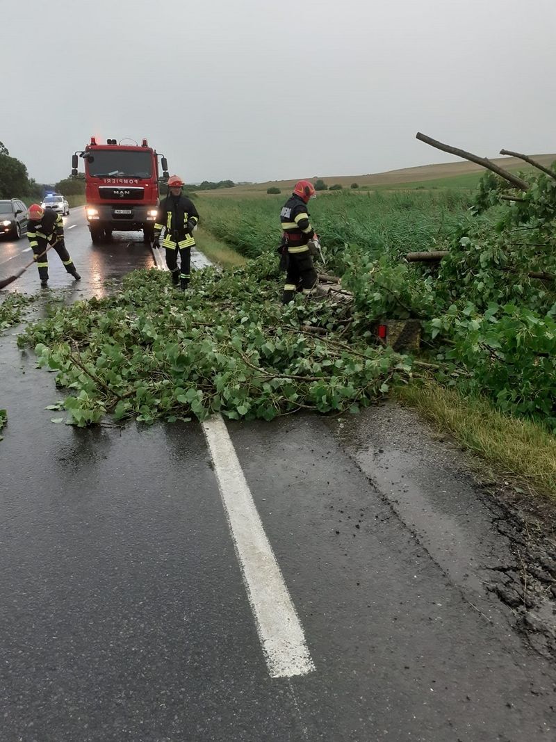 Copacii au blocat carosabilul