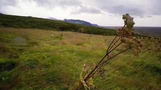 V&acirc;nt puternic &icirc;n mai multe județe. Pompierii au intervenit după ce mai mulți copaci și st&acirc;lpi de electricitate au fost dobor&acirc;ți