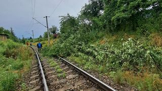 Circulația feroviară a fost întreruptă în Bistrița Năsăud după ce un copac a căzut pe calea ferată