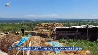 Poliția &icirc;n alertă-pistolarul din Gorj e liber