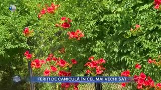 Feriți de caniculă în cel mai vechi sat