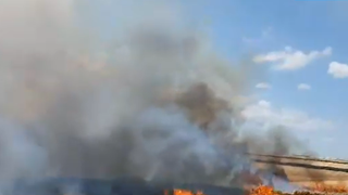 Zeci de hectare de grâu au fost mistuite de flăcări, în urma unor scântei