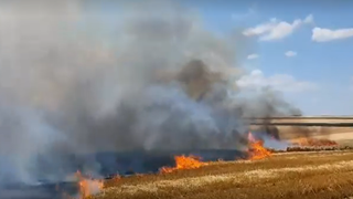 Zeci de hectare de grâu au fost mistuite de flăcări, în urma unor scântei